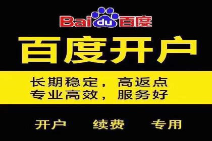 电商平台上充值返点案例分析